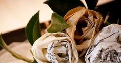 two white roses are wrapped in newspaper