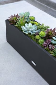 a black planter filled with lots of succulents