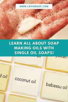 soap bars with the words learn all about soap making oils with single oil soaps