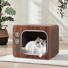 a cat is sitting in a small tv shaped like a television set on the floor