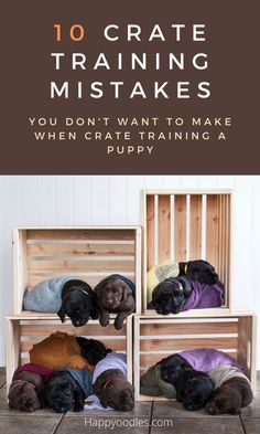 10 crate training mistakes Dog Crate Pads, Training Dogs