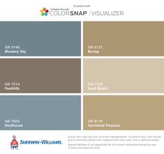 the color scheme for colorsnap visualizer, which is available in multiple colors