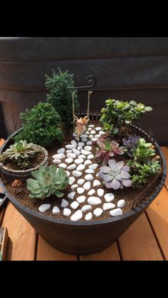 a potted planter filled with succulents and rocks