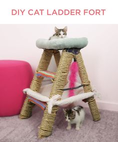 a cat sitting on top of a wooden ladder next to a pink chair with a white and black cat