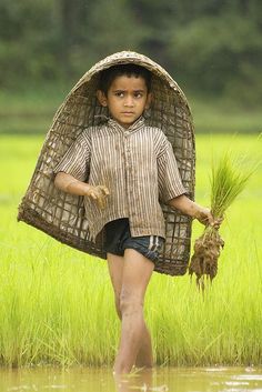 a young boy is walking in the water carrying a basket on his head and holding some plants