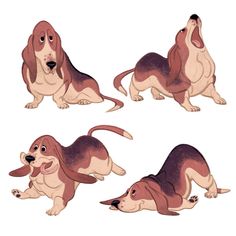 four different stages of a dog sitting down