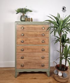 a wooden dresser sitting next to a potted plant on top of a hard wood floor