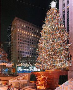 a large christmas tree is lit up in the city