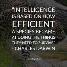 a quote from charles darwin about science