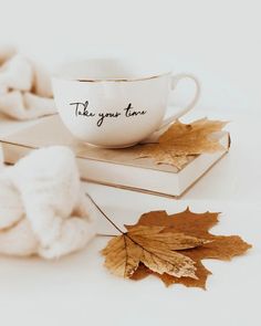 two books and a coffee cup with the words take your time on them next to some autumn leaves