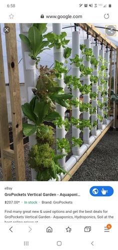 an outdoor garden with plants growing on the side of a wooden trellis and white pipes