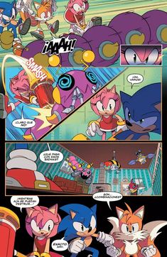 an image of sonic and tails in the comics