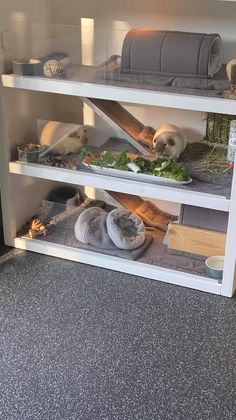 some animals are eating food out of bowls on the shelf in front of their kennel