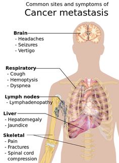 the anatomy of the human body with labels