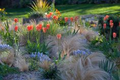 the flowers are blooming in the garden with long grass and bluebells on the other side