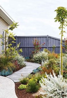 a garden with lots of plants and flowers in the front yard, next to a house