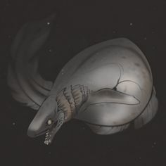 a large white fish floating on top of a body of water in the night sky