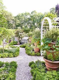 a garden filled with lots of plants next to a white arch in the middle of it