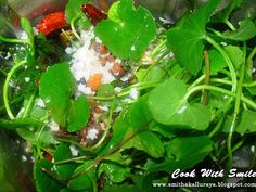 some green leaves and other food items in a pot on the stove top with water