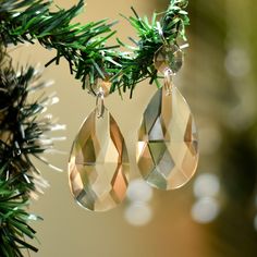 two crystal earrings hanging from a tree branch