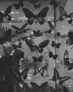 Butterfly Aesthetic Black, Aesthetic Wallpaper Gray, Butterfly Aesthetic, Aesthetic Black And White, Aesthetic Black, Night Aesthetic