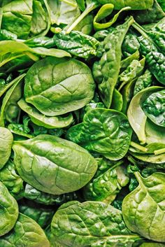 green spinach leaves are piled up together