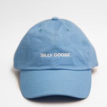 Silly Goose Hat – Middle Class Fancy Solid Color Cotton Hats For Streetwear, Cotton Flat Bill Baseball Cap, Classic Dad Hat For Everyday Spring Use, Classic Spring Dad Hat For Everyday, Classic Everyday Dad Hat For Spring, Classic Cotton Baseball Cap With Embroidered Logo, Basic Six-panel Cotton Hat, Adjustable Solid Cotton Dad Hat, Classic Cotton Dad Hat With Embroidered Logo