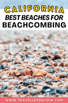 the words california best beaches for beachcombing are in front of an image of shells and