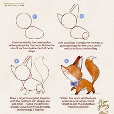 the instructions for how to draw a fox