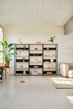 a living room filled with lots of furniture and plants on top of bookshelves