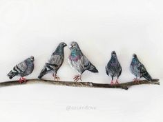 five birds are sitting on a branch and one is painted with pastel pencils