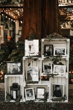 an assortment of pictures and frames on display in front of a tree with christmas lights