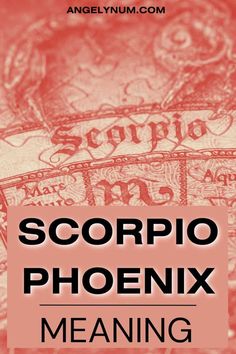 the cover of scorpio phoenix meaning, with an image of money