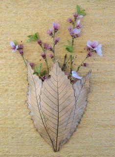 dried flowers and leaves are arranged on a wall hanging from a wooden paneled surface