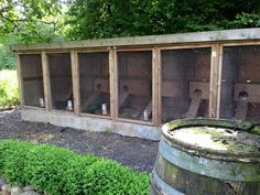 a group of birds sitting inside of a caged in area next to some bushes