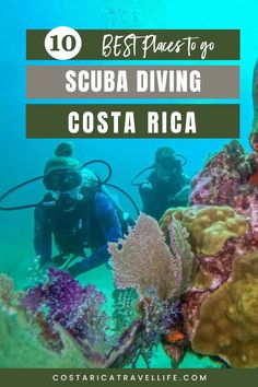 Dive into the underwater paradise of Costa Rica! Learn about the best scuba diving spots, marine life, and tips for an unforgettable adventure. Perfect for thrill-seekers and underwater explorers. #CostaRica #ScubaDiving #AdventureTravel #TravelTips #Diving Puerto Viejo Costa Rica, Costa Rica Beaches, Hot Pools