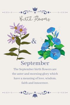 a blue and purple flower with the words, birth flowers and an inscription on it