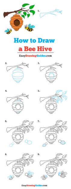 how to draw a bee hive