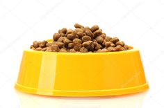 a yellow bowl full of dog food on a white background stock photo 549782