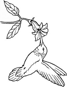 a hummingbird flying with a flower in it's beak coloring pages for kids