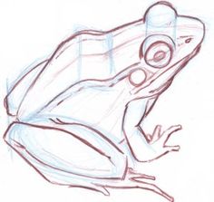 a drawing of a frog sitting on the ground