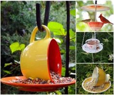 several pictures of birds and teacups hanging from feeders in the garden, including one with a bird on it