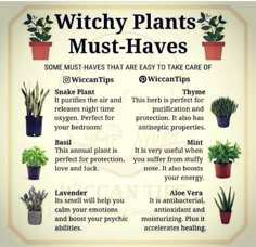 a poster with some plants in it that says witch plants must haves