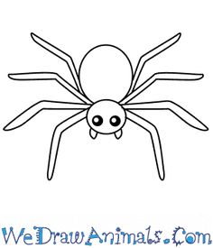 a spider drawing with the words we draw animals com