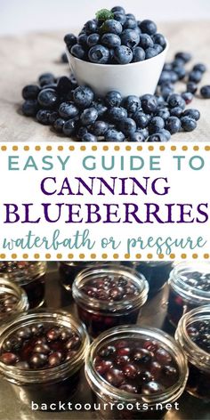 blueberries in jars with text overlay that reads easy guide to canning blueberries waterbath or pressure