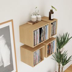 there is a shelf with many records on it next to a potted plant