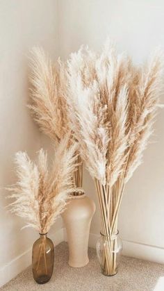 two vases filled with dry grass next to each other on a carpeted floor