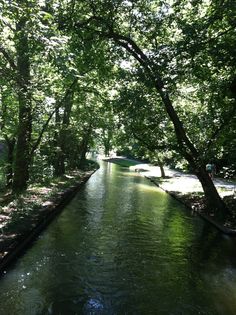 a river running through a lush green forest filled with lots of leafy trees on both sides