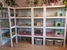 the shelves are filled with toys and plants