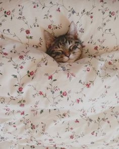 a cat is laying in the middle of a bed with white sheets and flowers on it